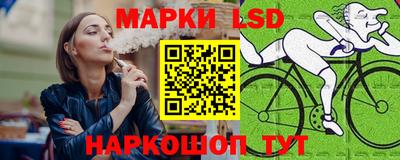 СК Камышлов