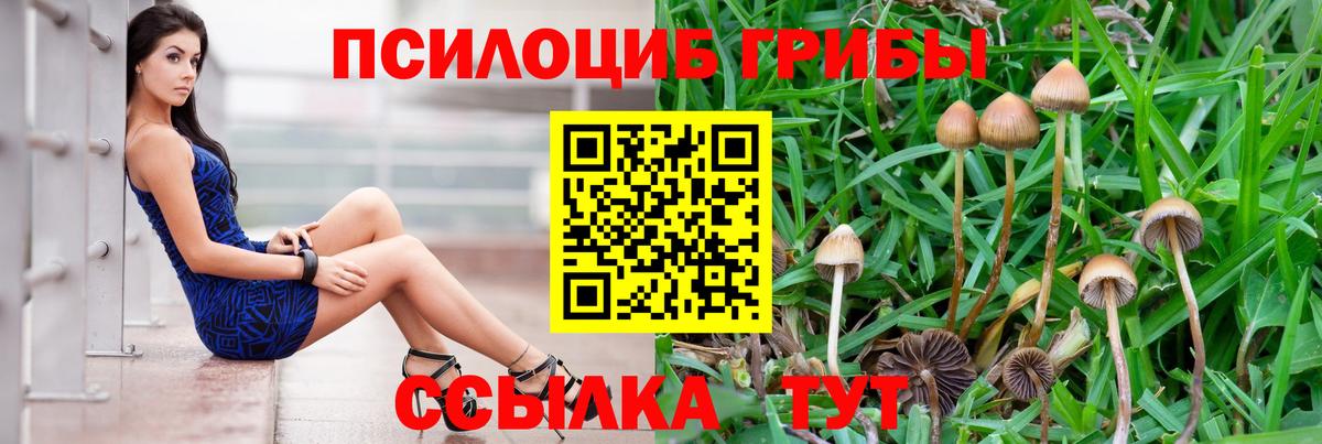 Псилоцибиновые грибы мицелий Кызыл