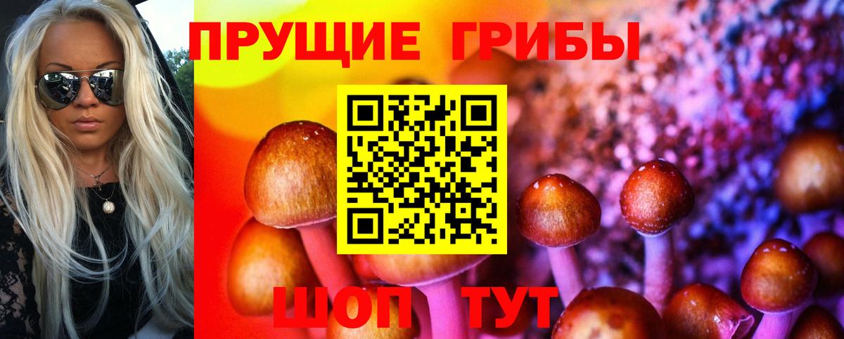 Кызыл  Псилоцибиновые грибы мухоморы  Вход с VPN 